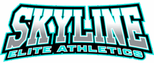 Skyline Elite Athletics Logo Landing Skyline Elite Athletics Logo Landing